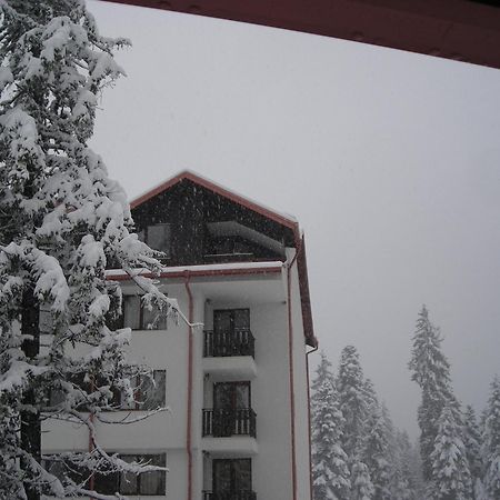 Borovets Gardens Chalet Flat Exteriör bild