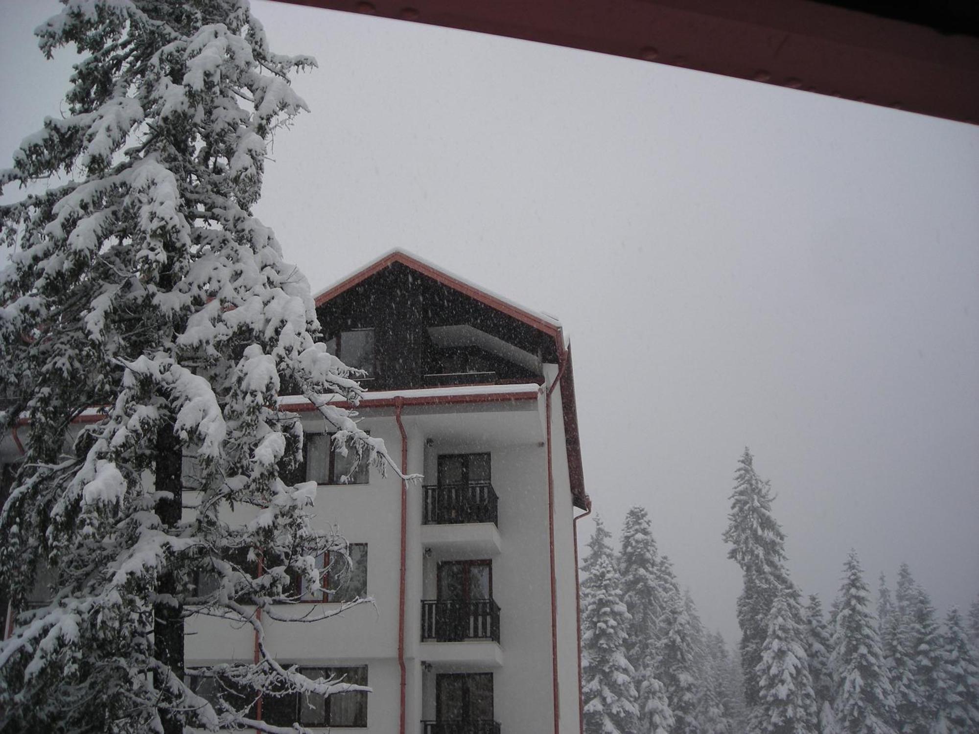 Borovets Gardens Chalet Flat Exteriör bild